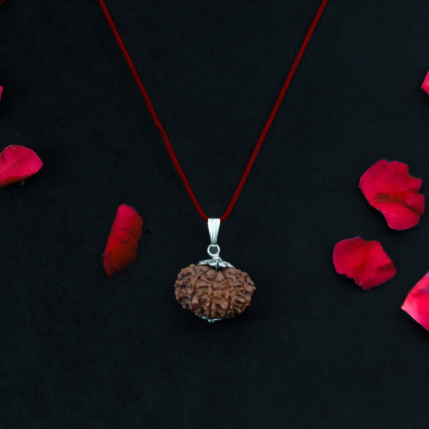 10 Mukhi Nepali Rudraksha