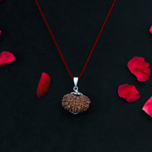 10 Mukhi Nepali Rudraksha