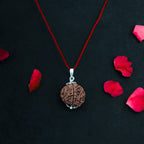 7 Mukhi Nepali Rudraksha