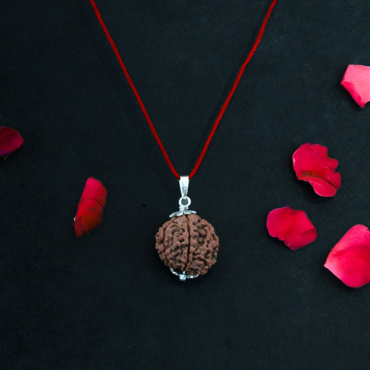 7 Mukhi Nepali Rudraksha