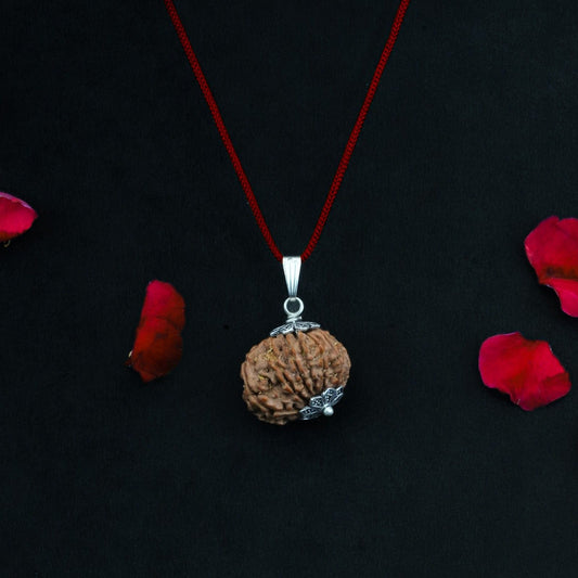 12 Mukhi Nepali Rudraksha