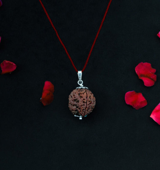 4 Mukhi Nepali Rudraksha