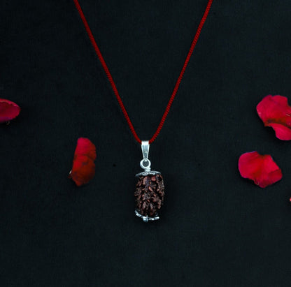 2 Mukhi Nepali Rudraksha