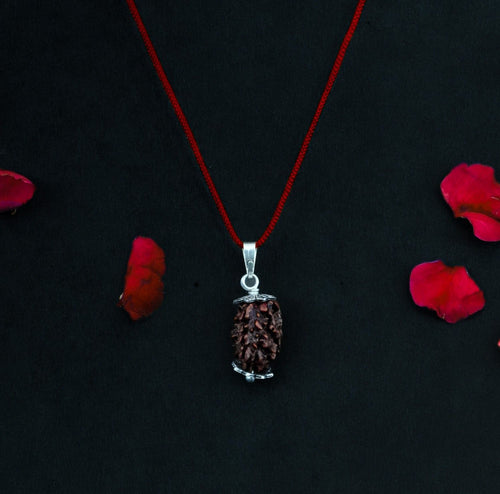 2 Mukhi Nepali Rudraksha