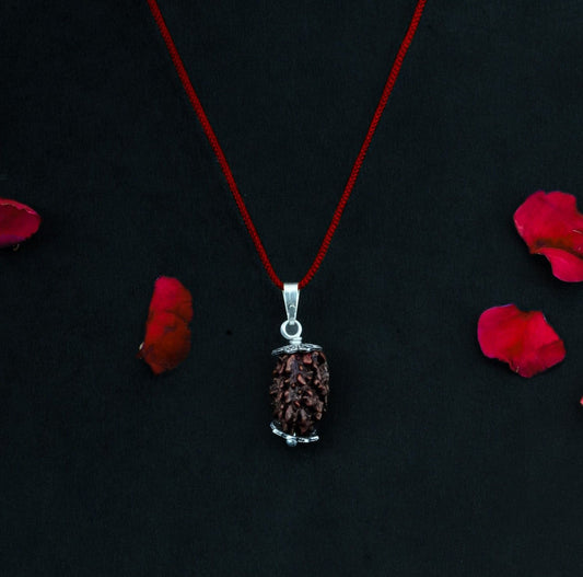 2 Mukhi Nepali Rudraksha