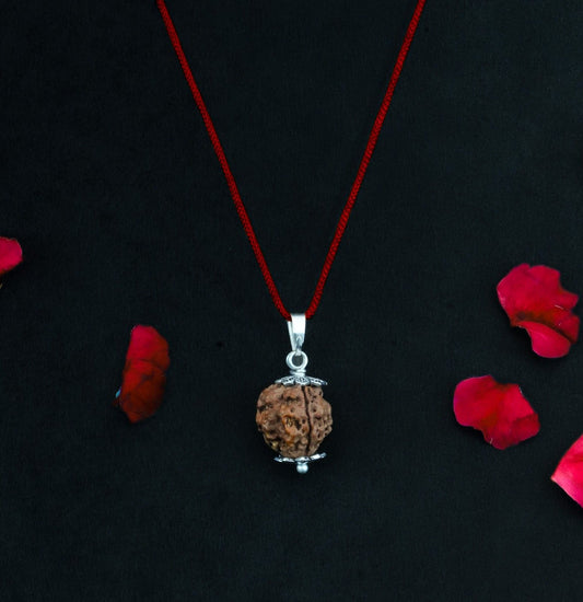 6 Mukhi Nepali Rudraksha