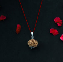 11 Mukhi Nepali Rudraksha