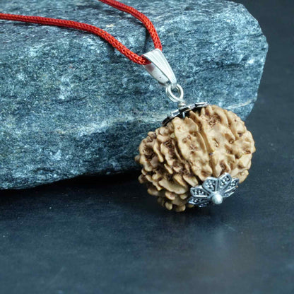 11 Mukhi Nepali Rudraksha