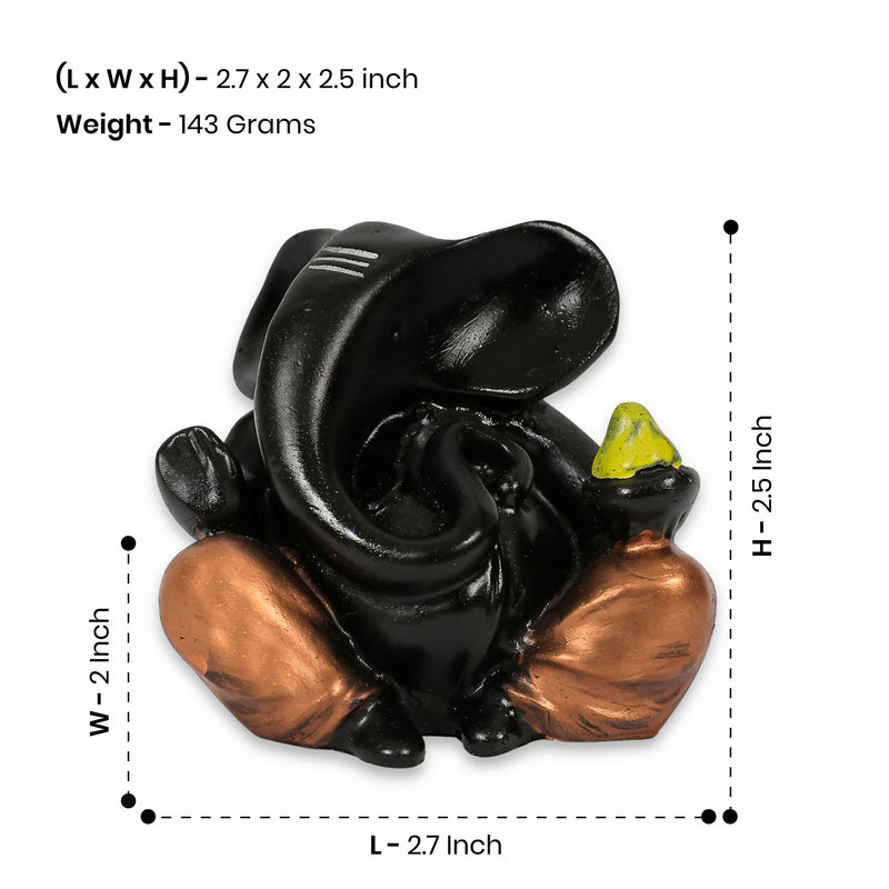 Size & Weight