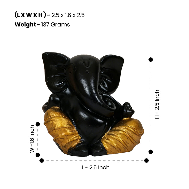 Size & Weight