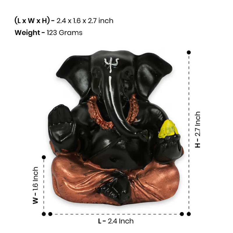 Size & Weight